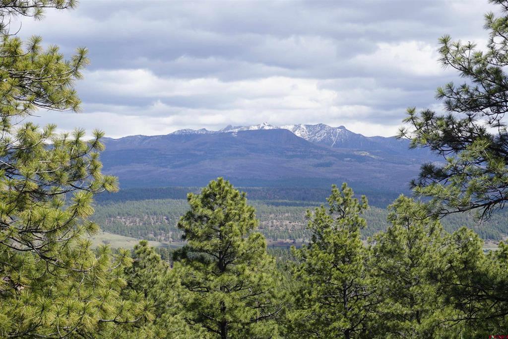 1131 Lodge Pole Drive Pagosa Springs CO 81147