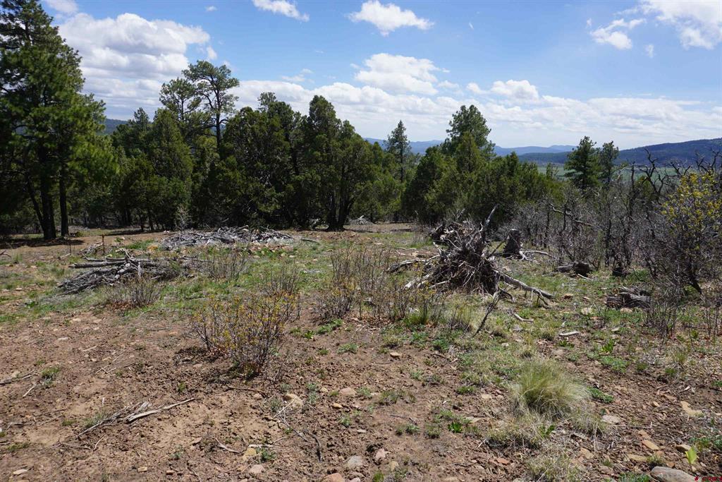 1131 Lodge Pole Drive Pagosa Springs CO 81147