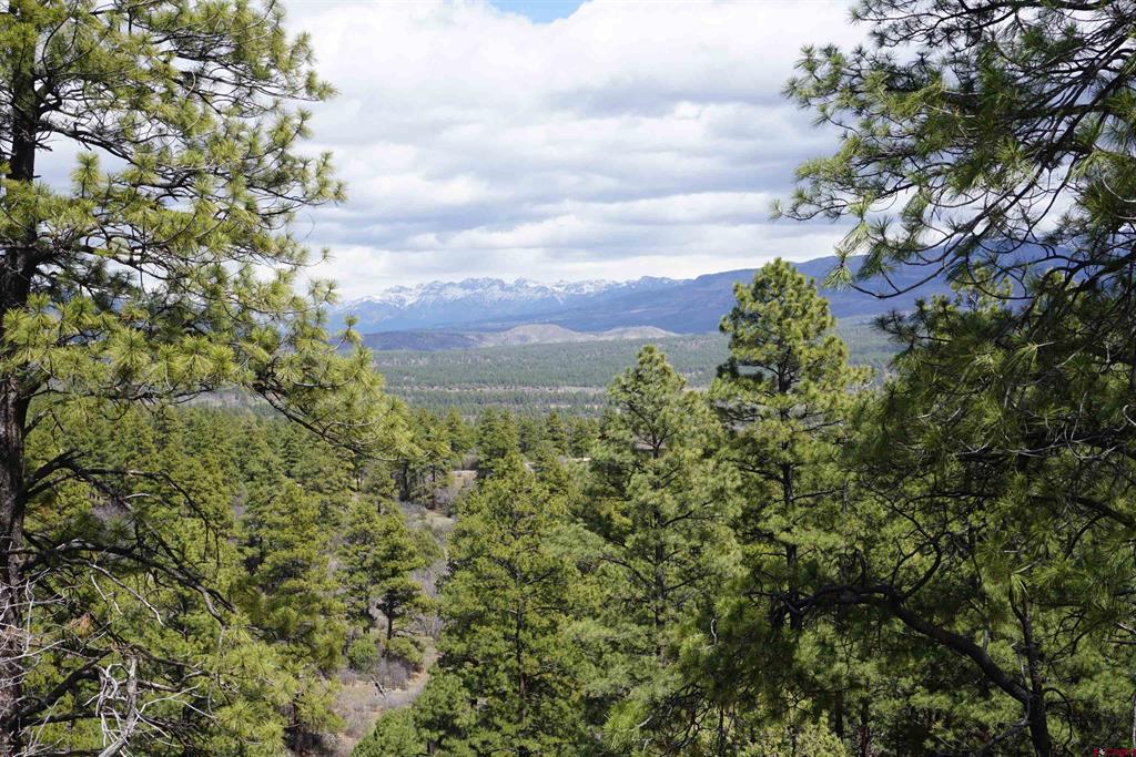 1131 Lodge Pole Drive Pagosa Springs CO 81147