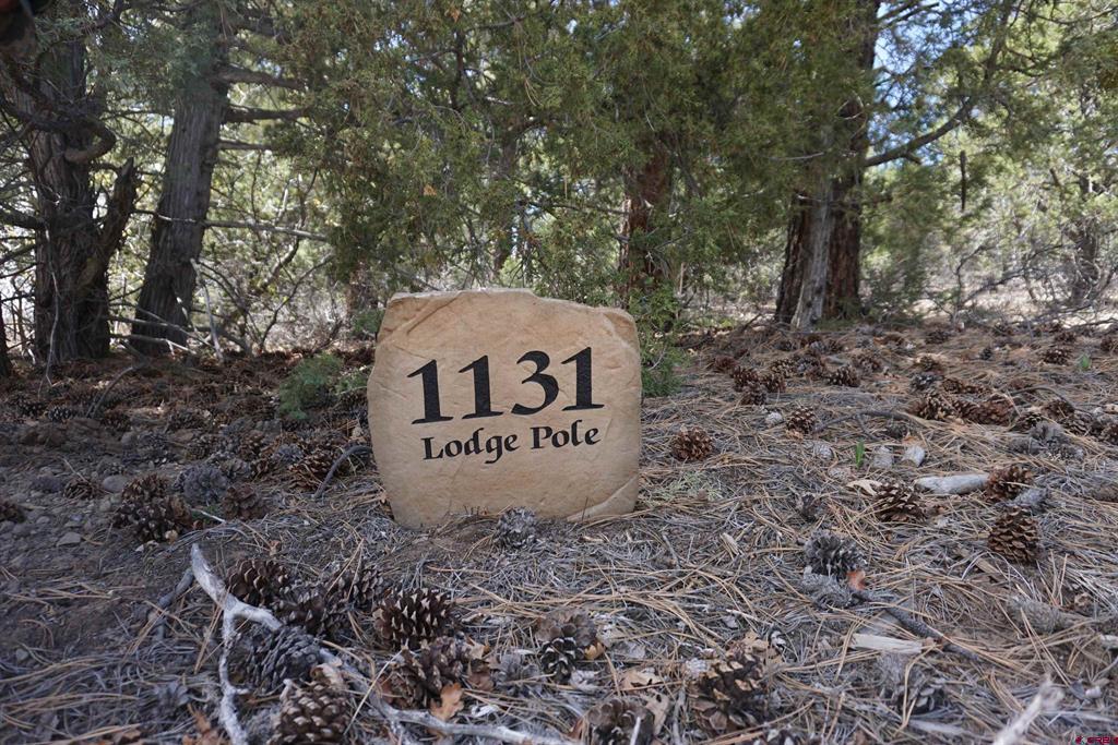 1131 Lodge Pole Drive Pagosa Springs CO 81147