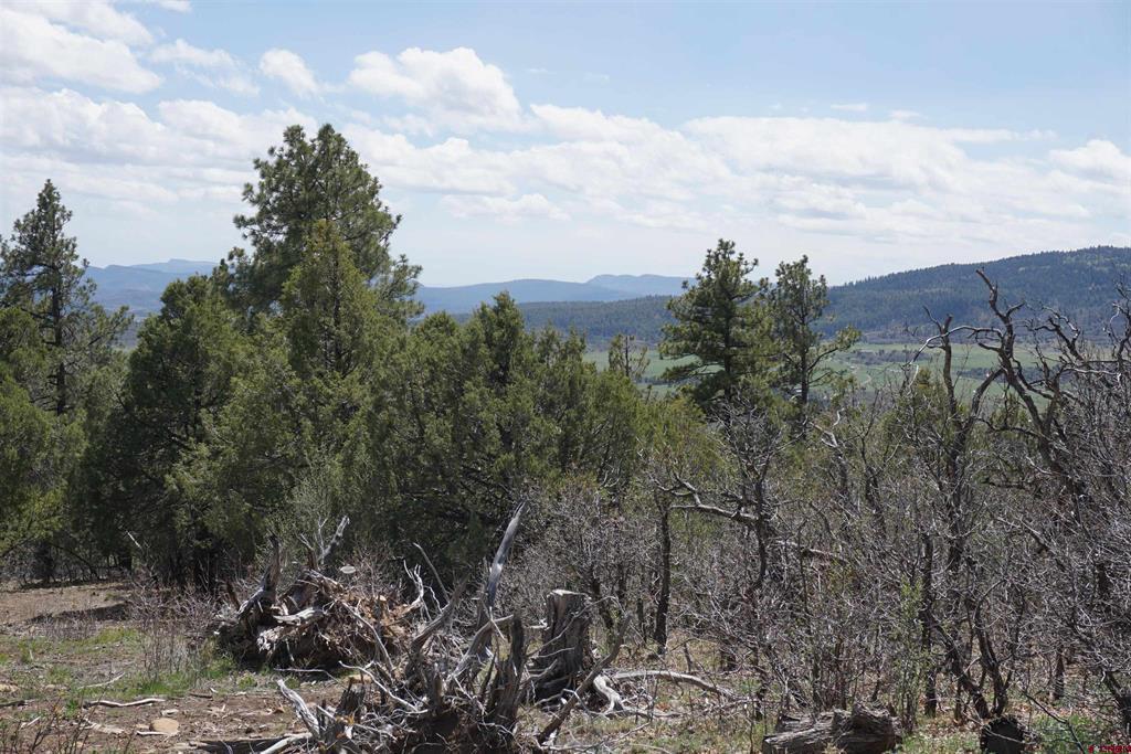 1131 Lodge Pole Drive Pagosa Springs CO 81147