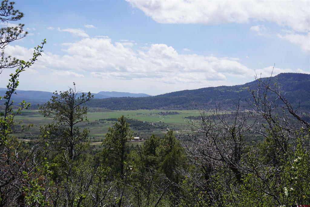 1131 Lodge Pole Drive Pagosa Springs CO 81147