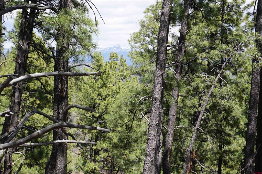 1131 Lodge Pole Drive Pagosa Springs CO 81147