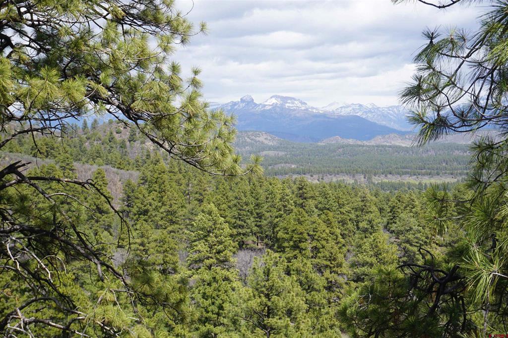 1131 Lodge Pole Drive Pagosa Springs CO 81147