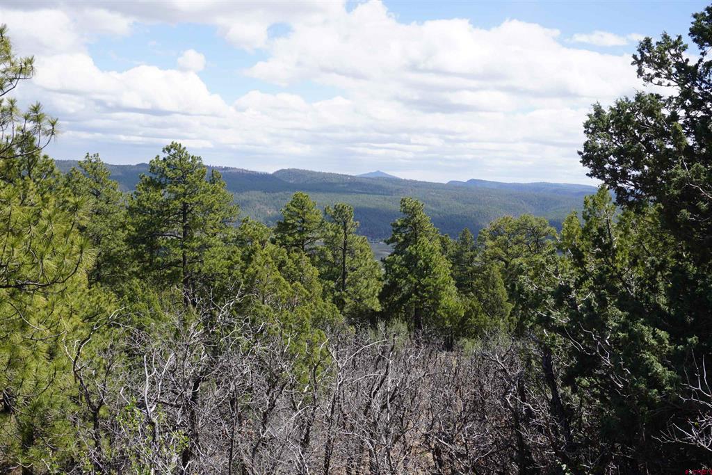 1131 Lodge Pole Drive Pagosa Springs CO 81147