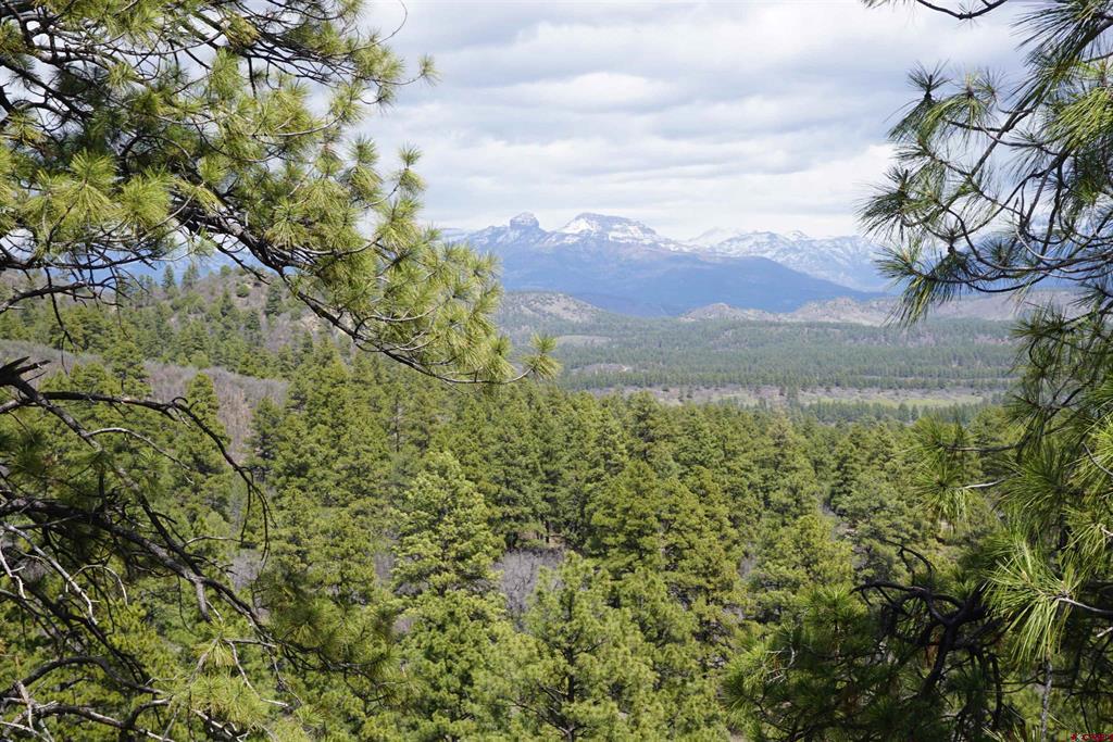 1131 Lodge Pole Drive Pagosa Springs CO 81147