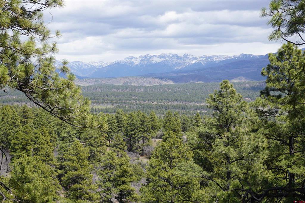 1131 Lodge Pole Drive Pagosa Springs CO 81147