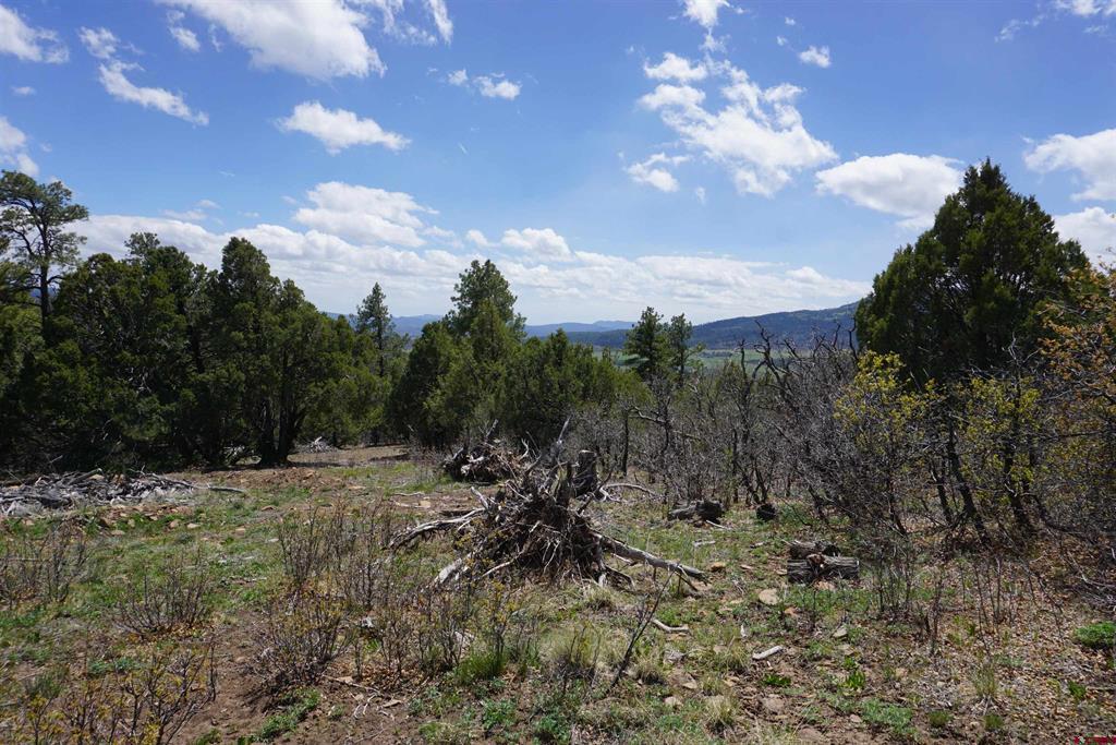 1131 Lodge Pole Drive Pagosa Springs CO 81147