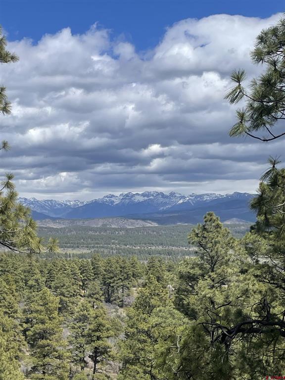 1131 Lodge Pole Drive Pagosa Springs CO 81147