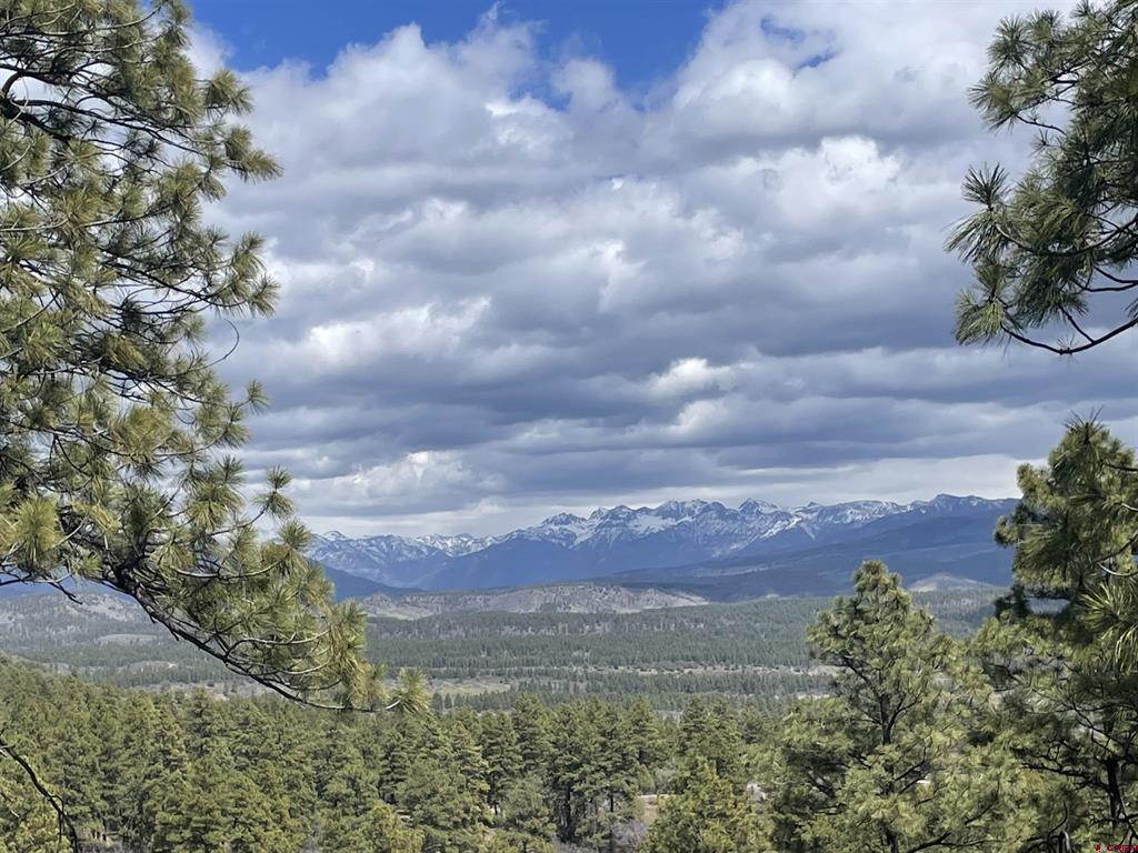 1131 Lodge Pole Drive Pagosa Springs CO 81147