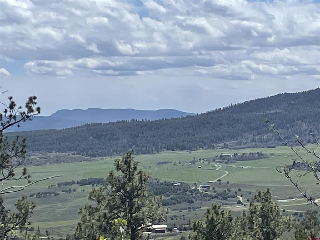 1131 Lodge Pole Drive Pagosa Springs CO 81147