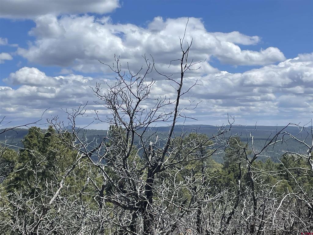 1131 Lodge Pole Drive Pagosa Springs CO 81147