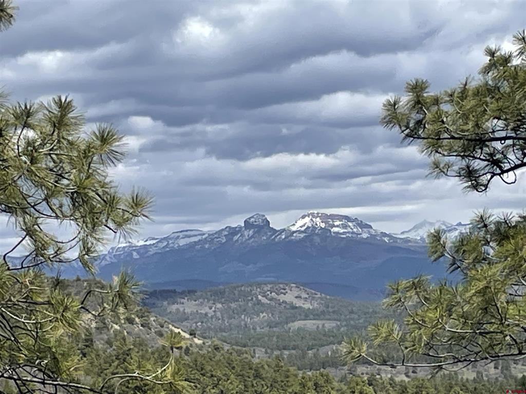 1131 Lodge Pole Drive Pagosa Springs CO 81147