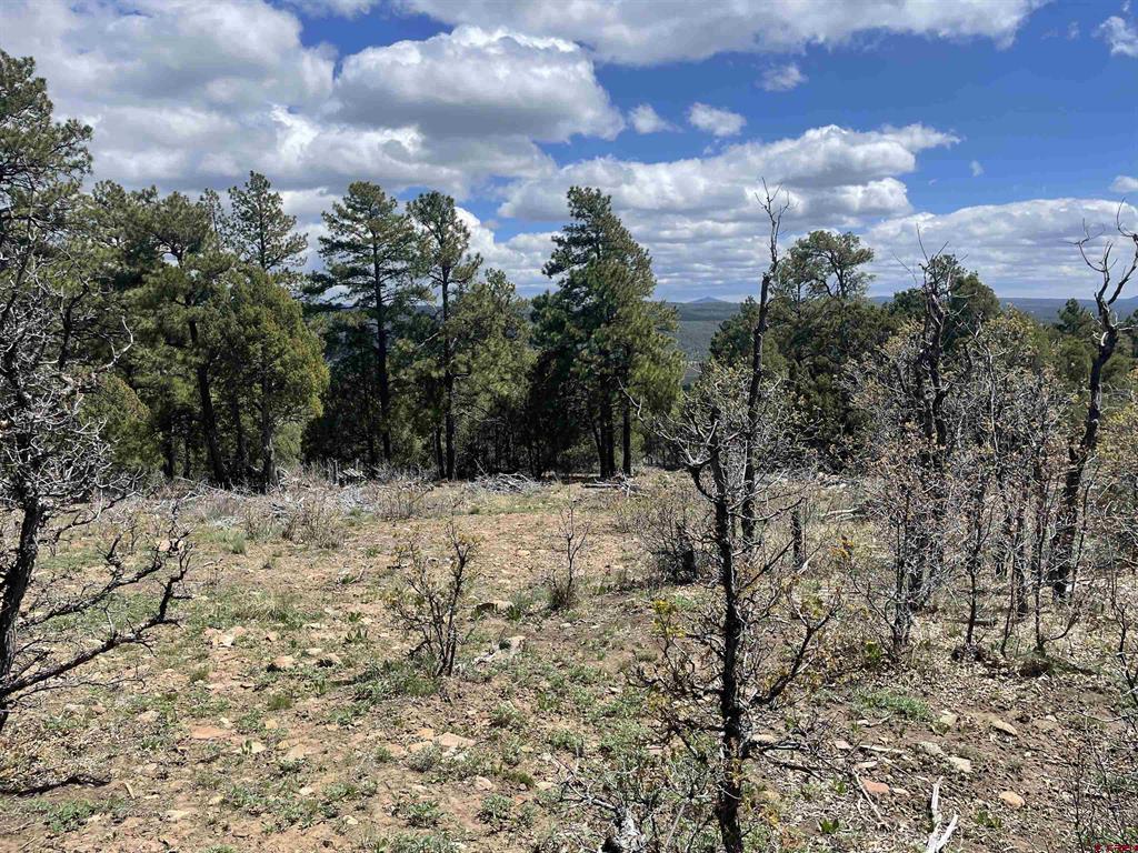 1131 Lodge Pole Drive Pagosa Springs CO 81147
