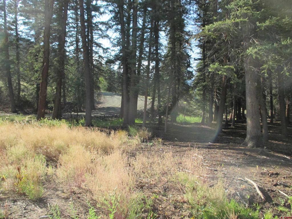 2500 S Highway 149 Lake City CO 81235
