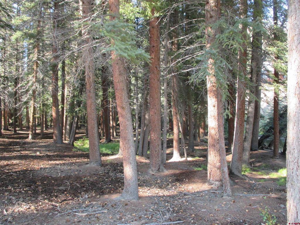 2500 S Highway 149 Lake City CO 81235