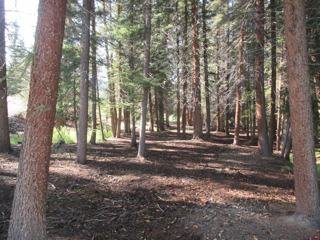 2500 S Highway 149 Lake City CO 81235