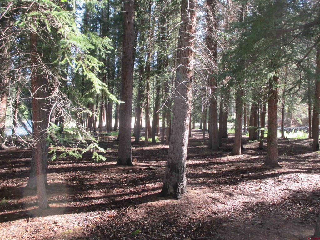 2500 S Highway 149 Lake City CO 81235