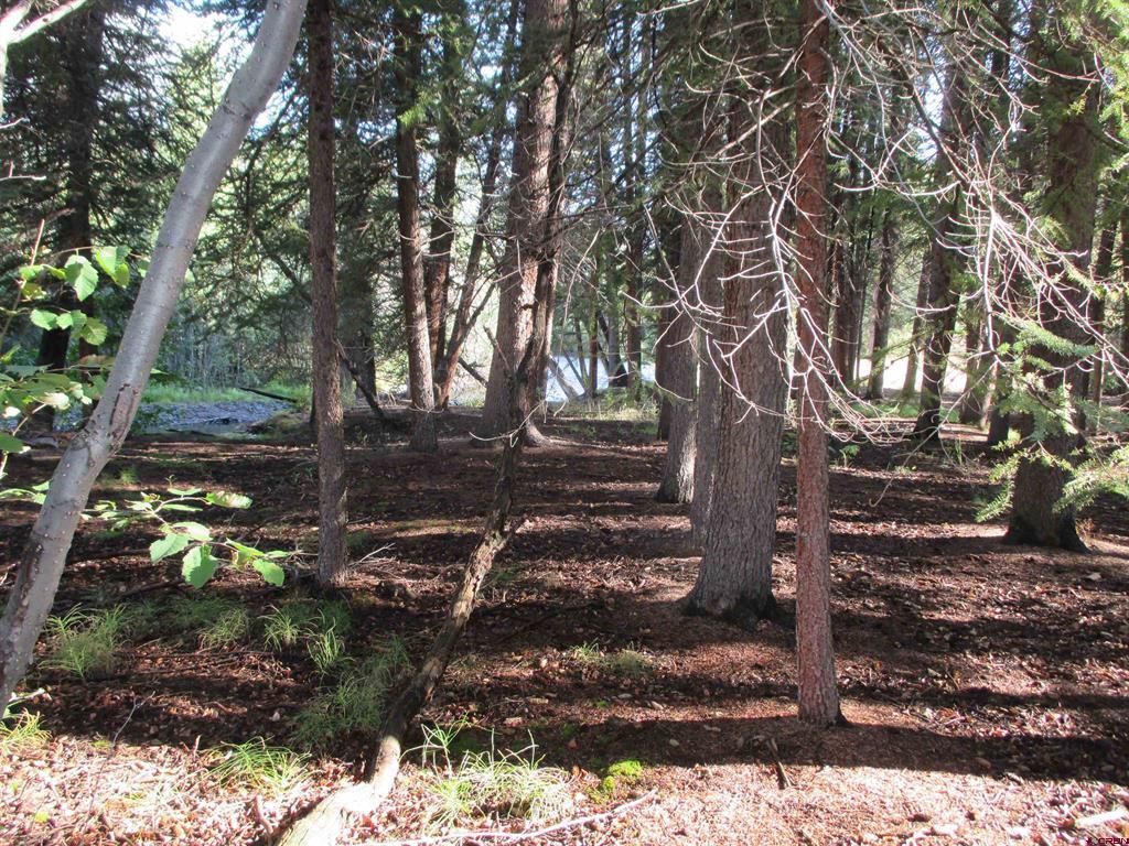 2500 S Highway 149 Lake City CO 81235