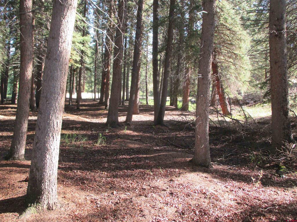 2500 S Highway 149 Lake City CO 81235