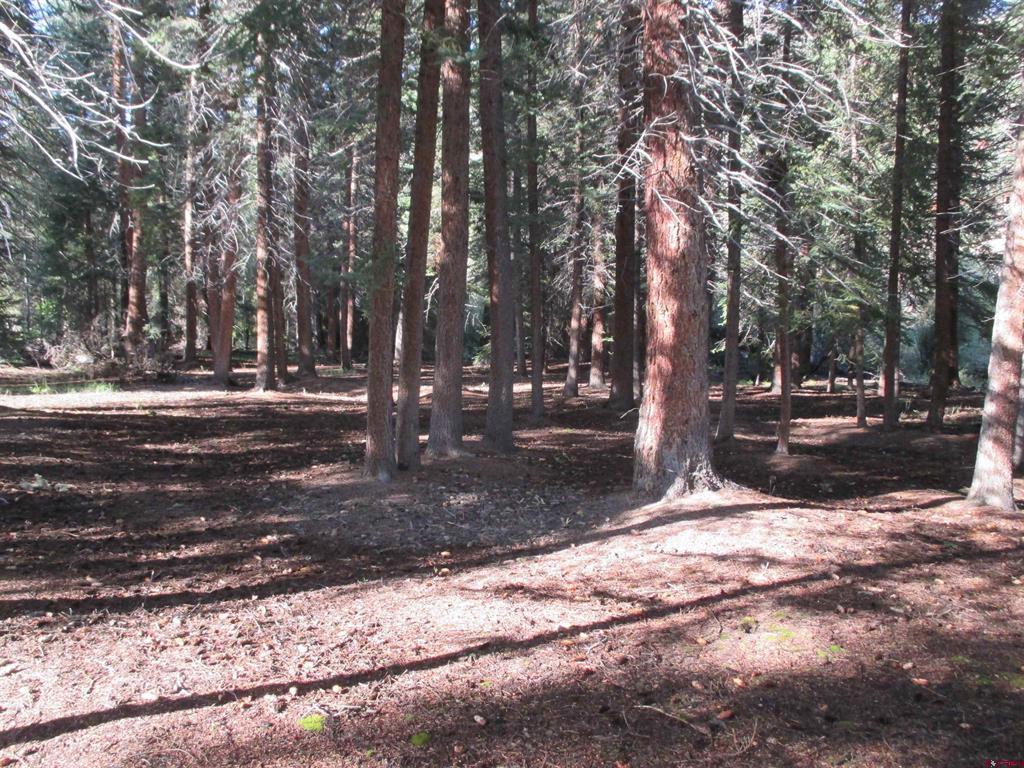 2500 S Highway 149 Lake City CO 81235
