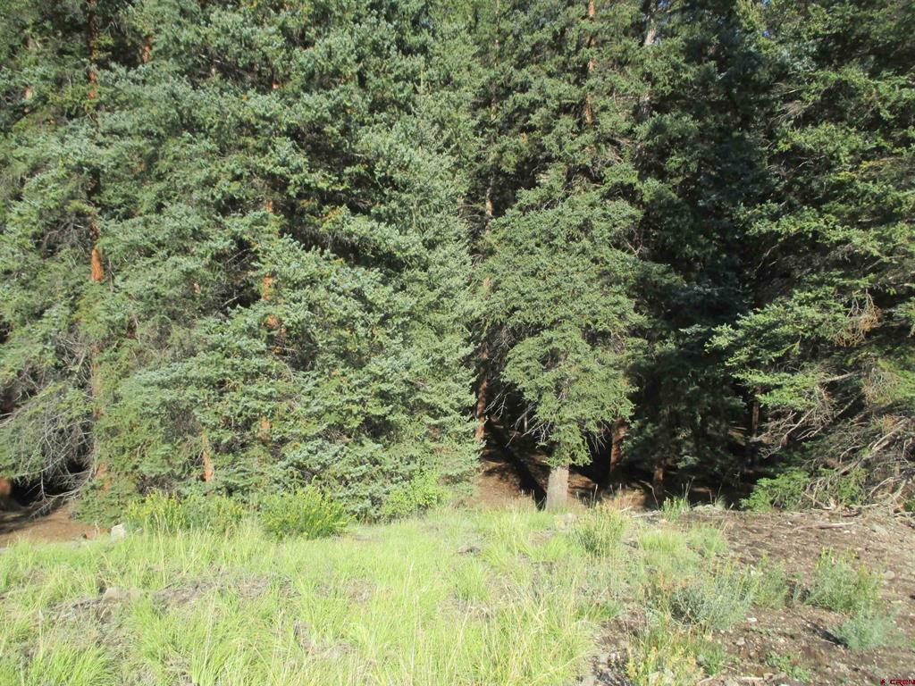 2500 S Highway 149 Lake City CO 81235