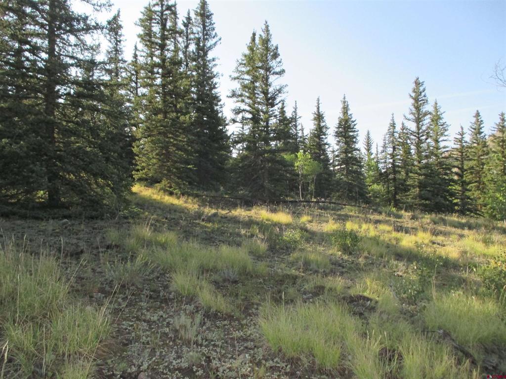 2500 S Highway 149 Lake City CO 81235