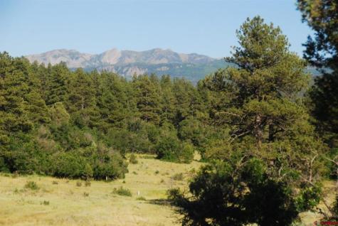 X Us Hwy 84 #115 Pagosa Springs CO 81147