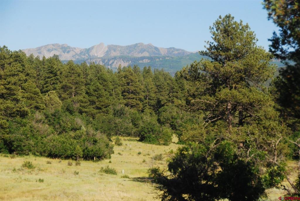 Pagosa Springs CO, X Us Hwy 84 #115
