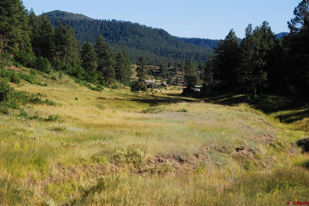 X Us Hwy 84 #115 Pagosa Springs CO 81147