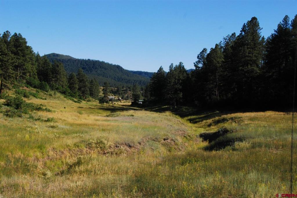 X Us Hwy 84 #115 Pagosa Springs CO 81147