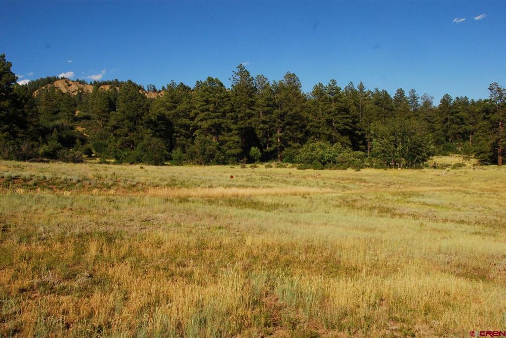 X Us Hwy 84 #115 Pagosa Springs CO 81147
