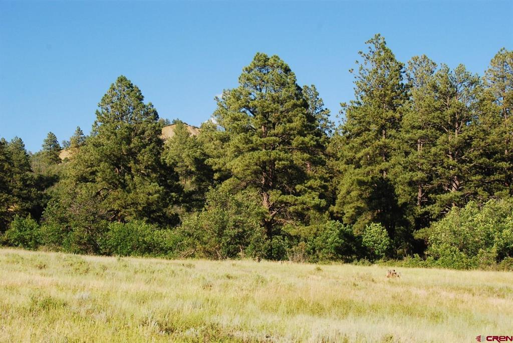 X Us Hwy 84 #115 Pagosa Springs CO 81147
