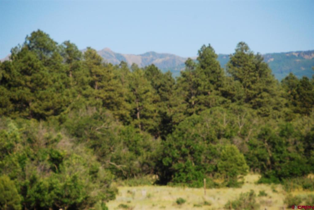 X Us Hwy 84 #115 Pagosa Springs CO 81147