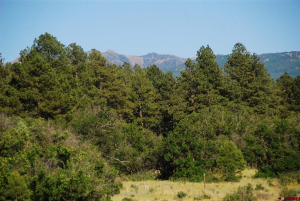 X Us Hwy 84 #115 Pagosa Springs CO 81147