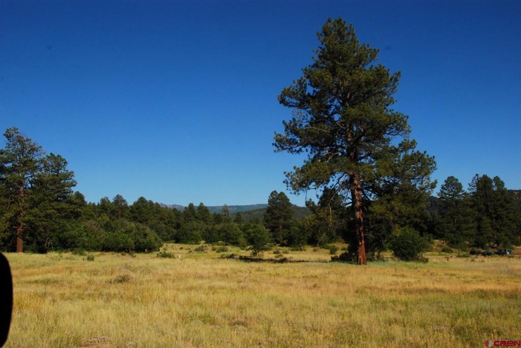 X Us Hwy 84 #115 Pagosa Springs CO 81147
