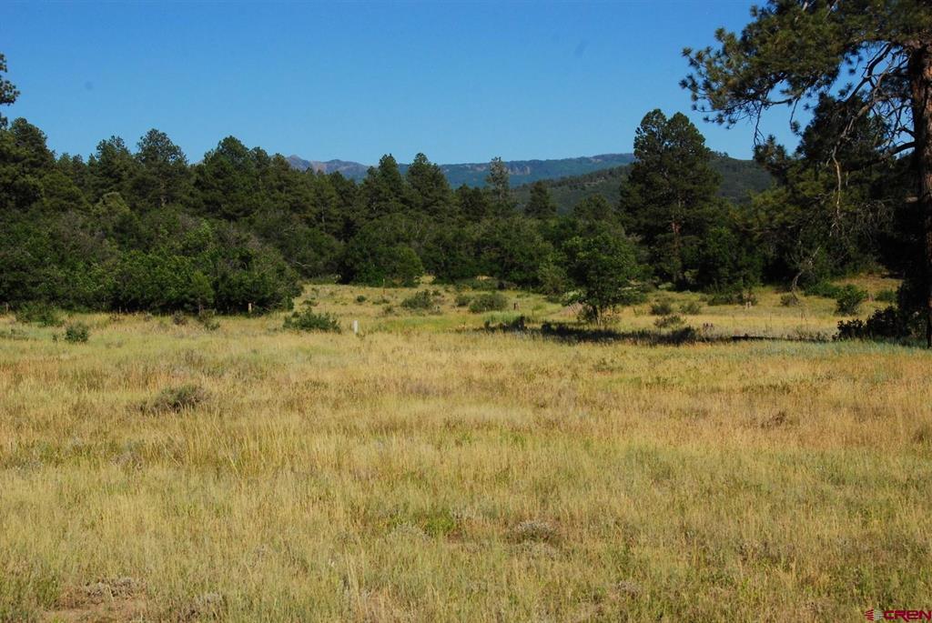 X Us Hwy 84 #115 Pagosa Springs CO 81147