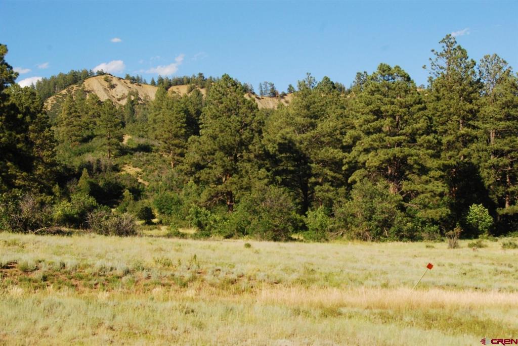 X Us Hwy 84 #115 Pagosa Springs CO 81147