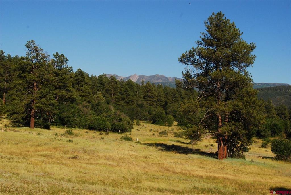 X Us Hwy 84 #115 Pagosa Springs CO 81147