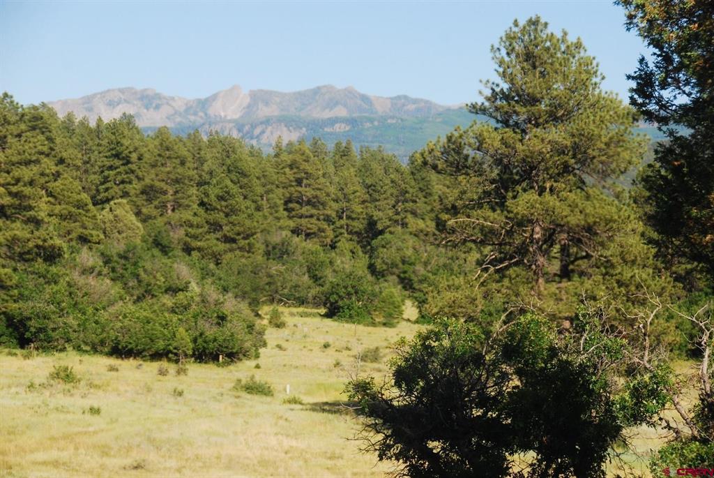 X Us Hwy 84 #115 Pagosa Springs CO 81147