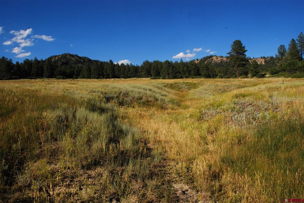 X Us Hwy 84 #115 Pagosa Springs CO 81147