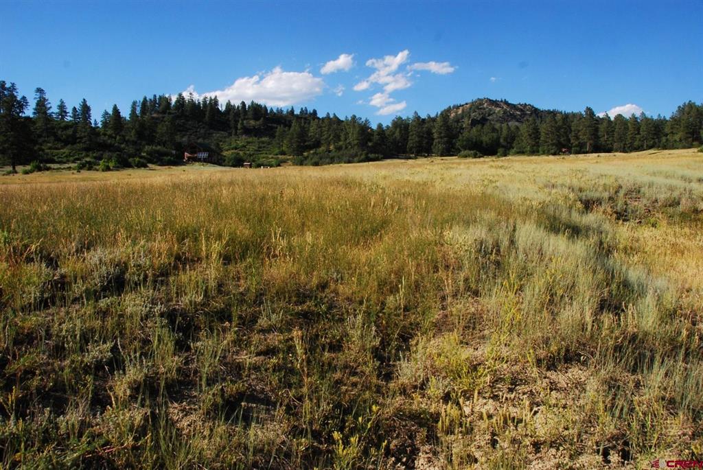 X Us Hwy 84 #115 Pagosa Springs CO 81147