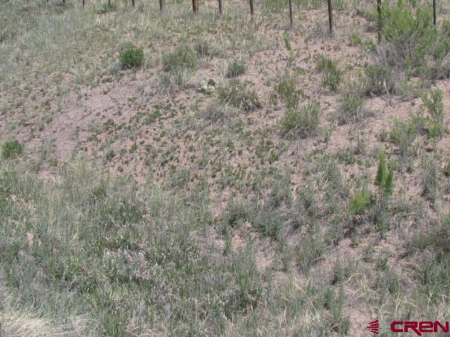 45 Country Meadows Place Ignacio CO 81137