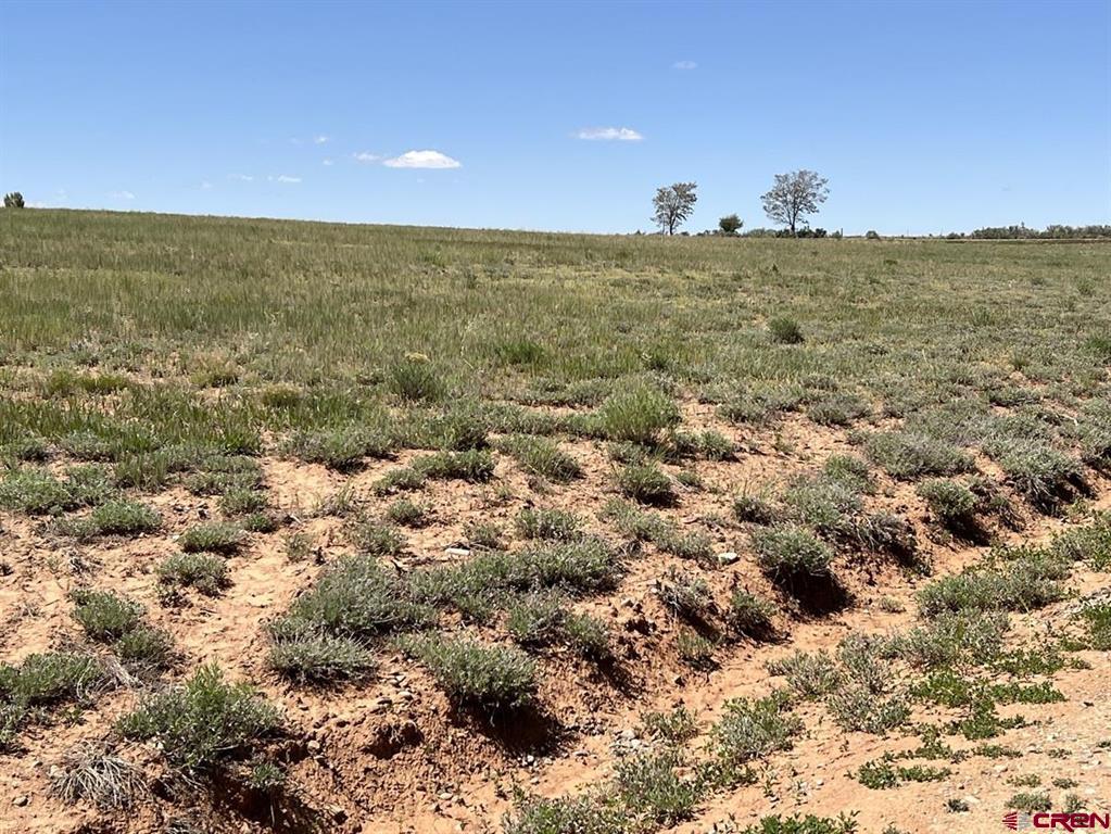 Tbd Road N5 Cortez CO 81321