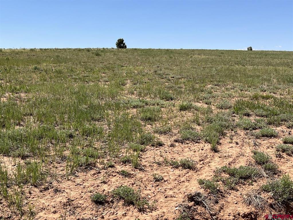 Tbd Road N5 Cortez CO 81321