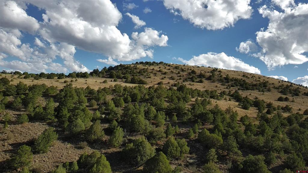Tbd Nicmodes Road Monte Vista CO 81144