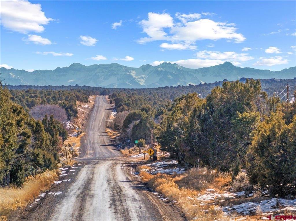 Lot 4 County Road 22 Montrose CO 81403