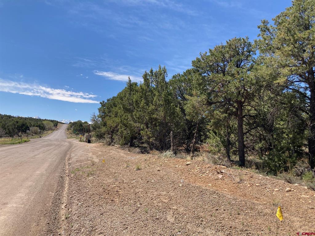 Lot 4 County Road 22 Montrose CO 81403