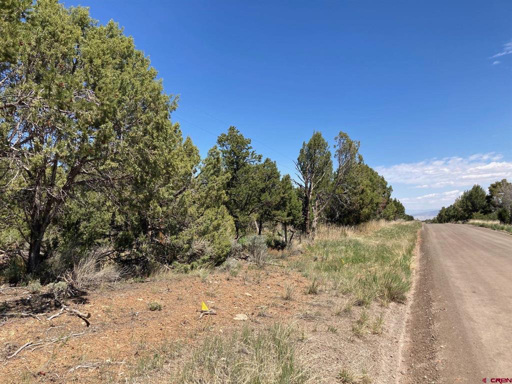 Lot 4 County Road 22 Montrose CO 81403