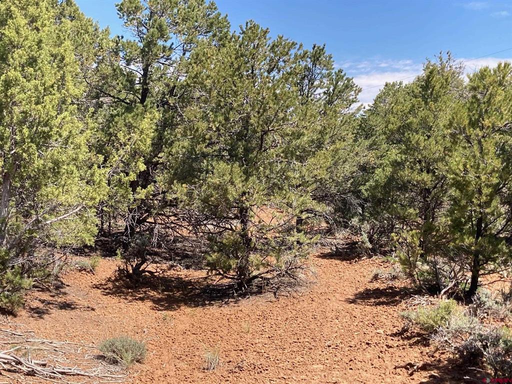 Lot 4 County Road 22 Montrose CO 81403